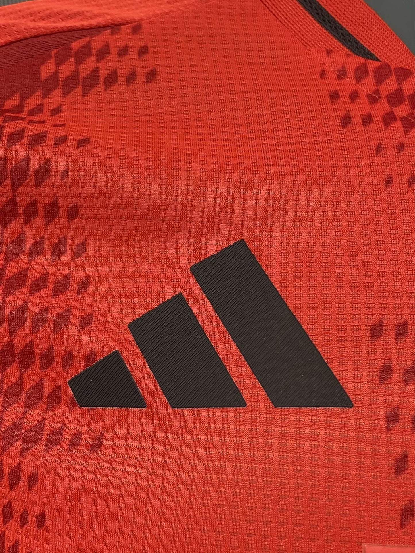 Bayern Home 2024/25